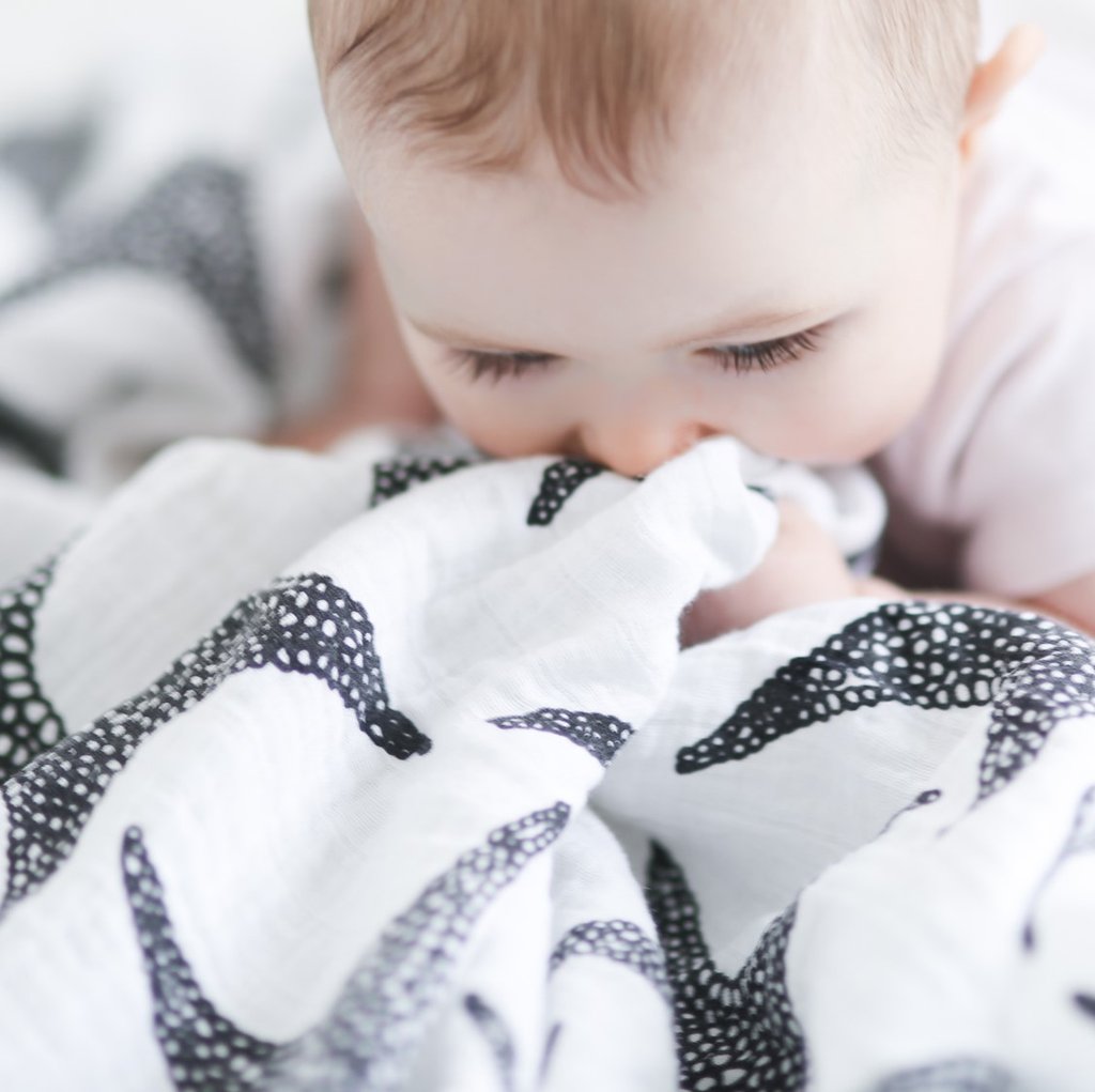 Sensory Muslin Square XL Starfish