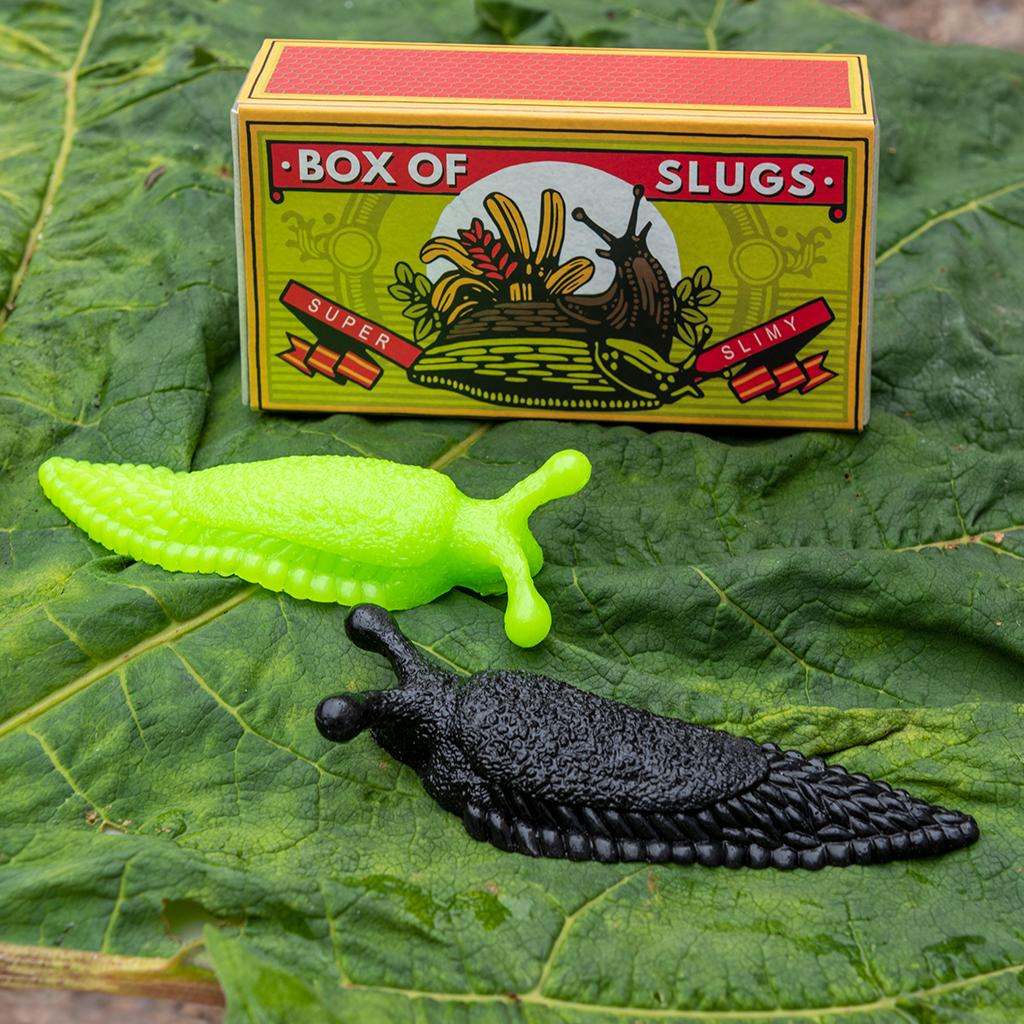 Box Of Slugs