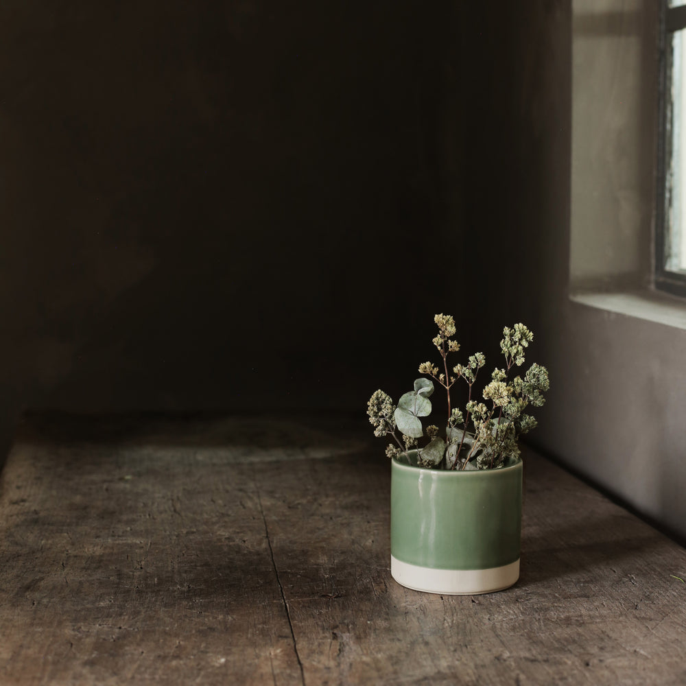 Tilli Small Pot Parrot