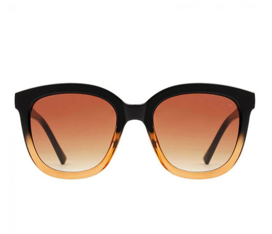 Billy Sunglasses - Black/Brown Transparent