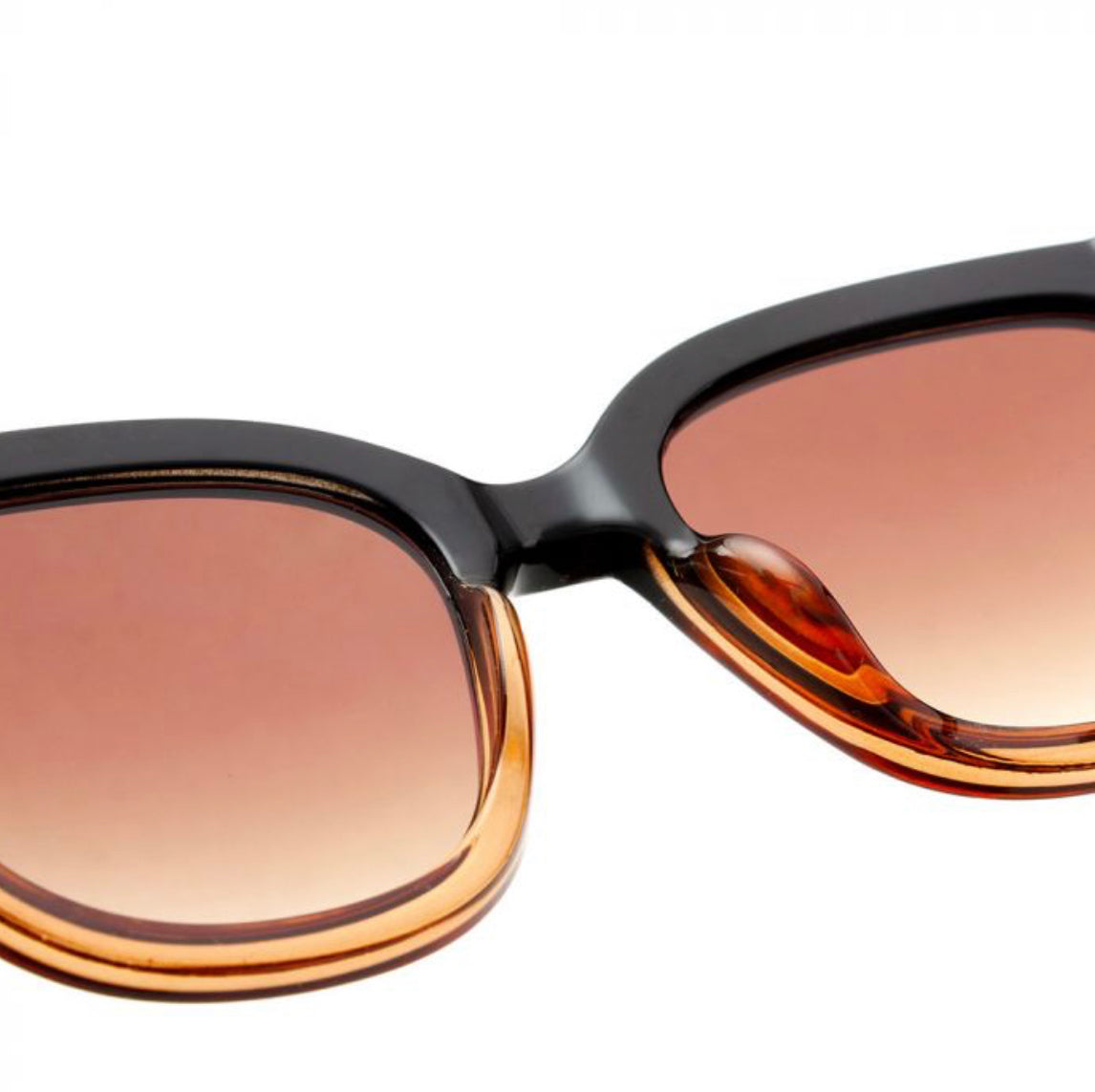 Billy Sunglasses - Black/Brown Transparent