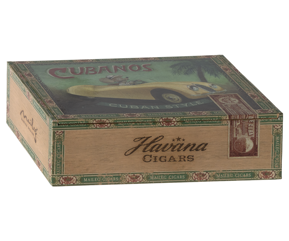 Grandma And Grandpa Mice in A Cigar Box