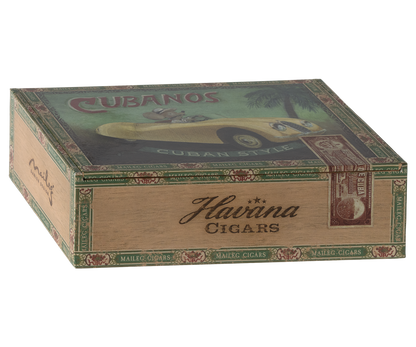 Grandma And Grandpa Mice in A Cigar Box