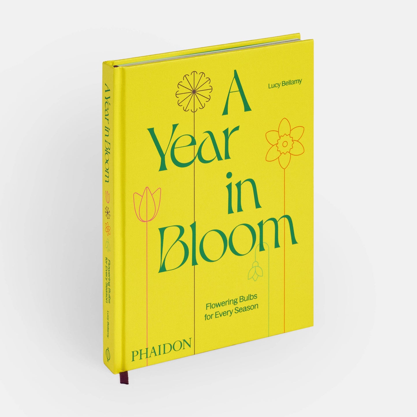 A Year in Bloom: Flowering Bulbs for Every Season