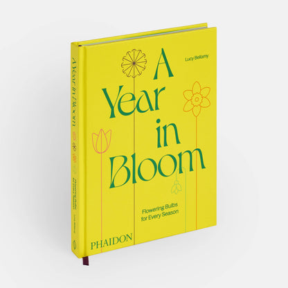 A Year in Bloom: Flowering Bulbs for Every Season