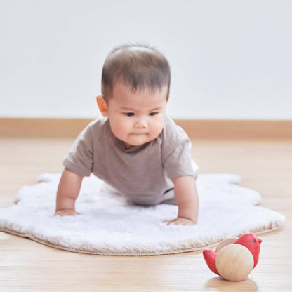 Bird Roller Wooden Baby Toy PlanToys