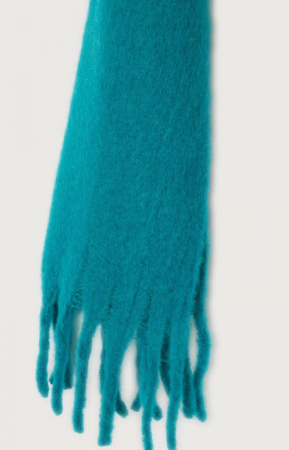 Zinaco Scarf - Parrot