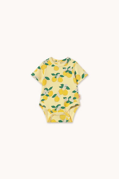 Oranges Rib Body