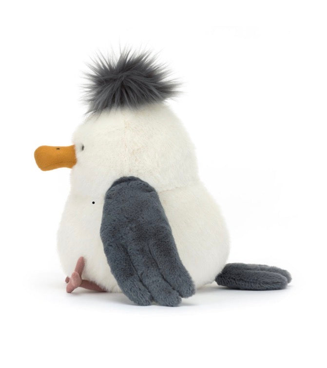 Chip Seagull