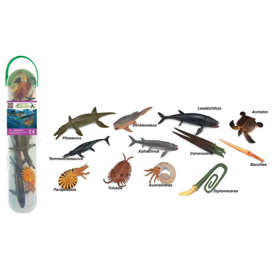 Box Of Mini Prehistoric Animals