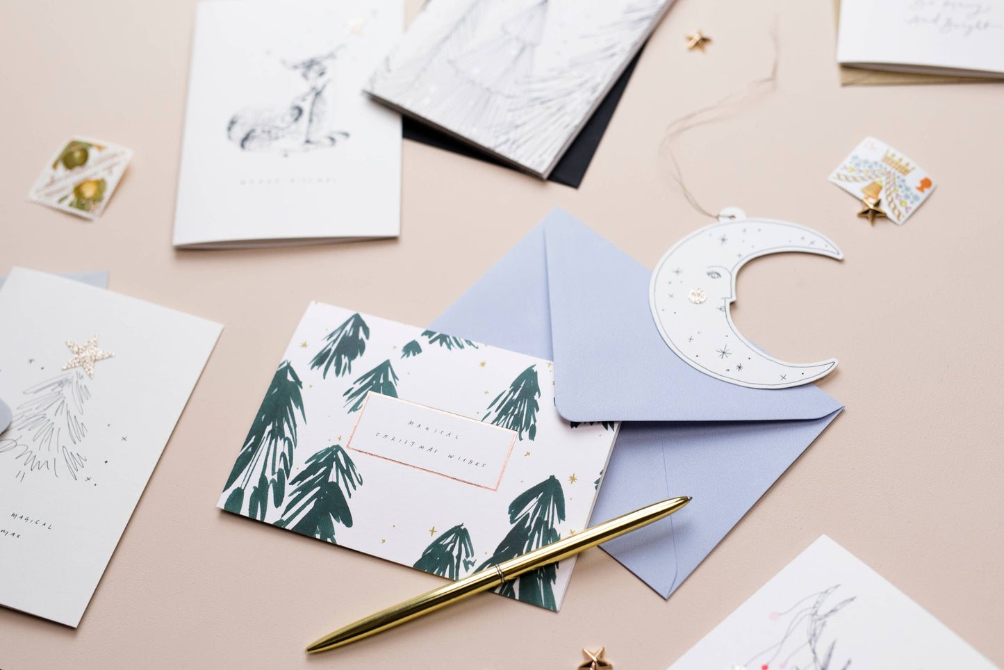 FESTIVE CAT Christmas Holiday Card