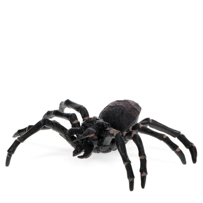 Realistic Tarantula Toy