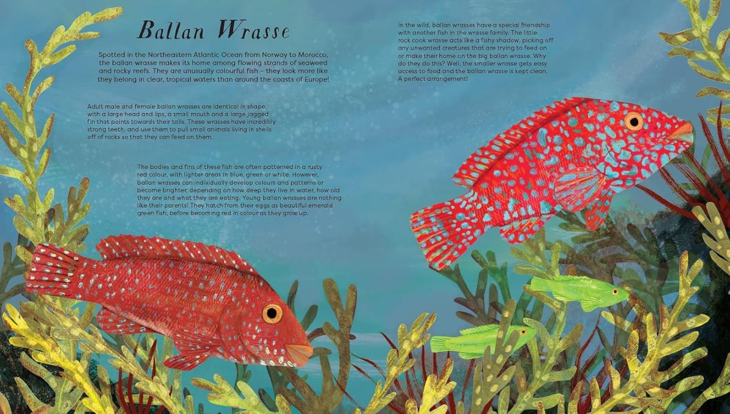 Beneath The Waves - Press Out And Learn