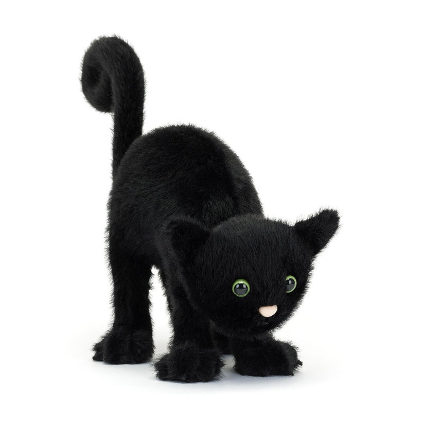 Spookipaws Cat