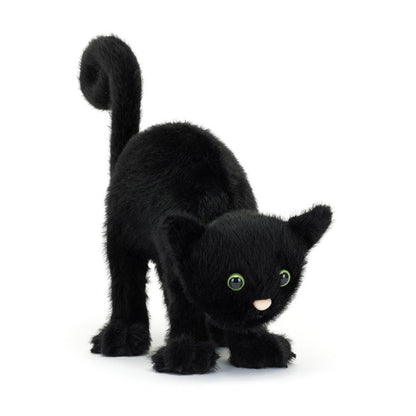 Spookipaws Cat