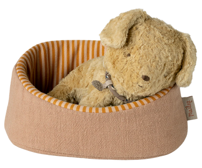 Pet Basket: Powder