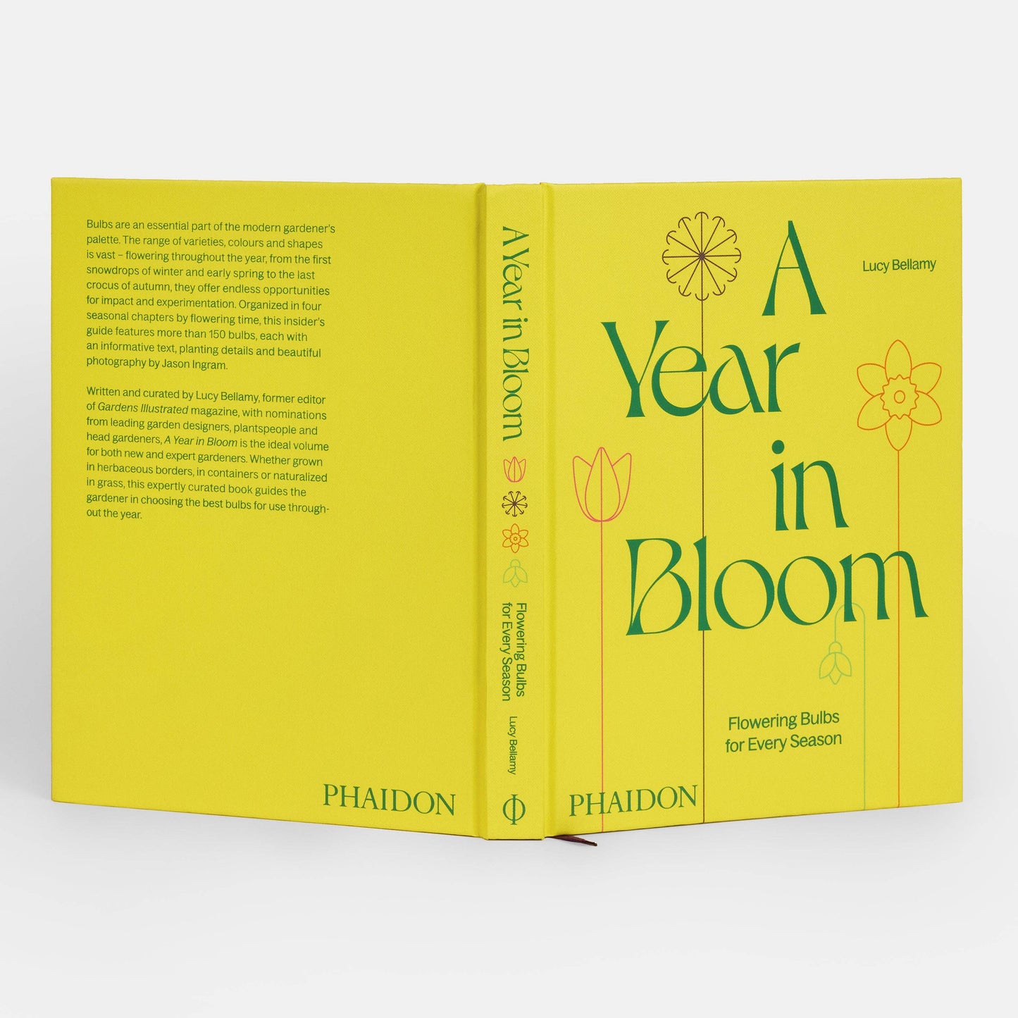 A Year in Bloom: Flowering Bulbs for Every Season