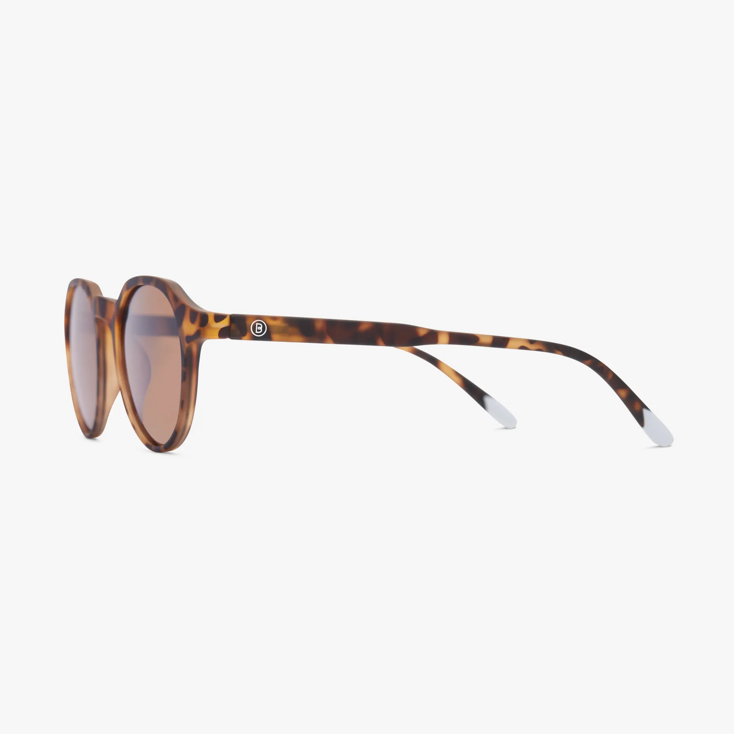 Chamberi Tortoise Sun