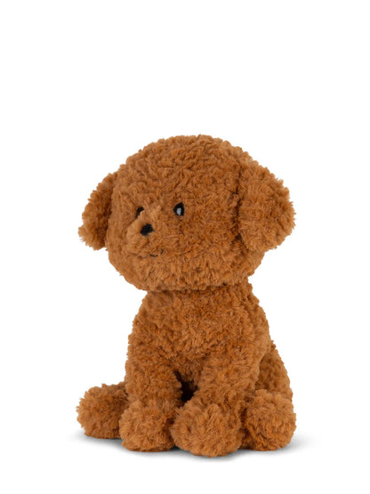 Stacy The Labradoodle