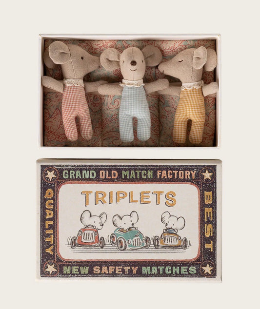 Triplet Baby Mice In Matchbox