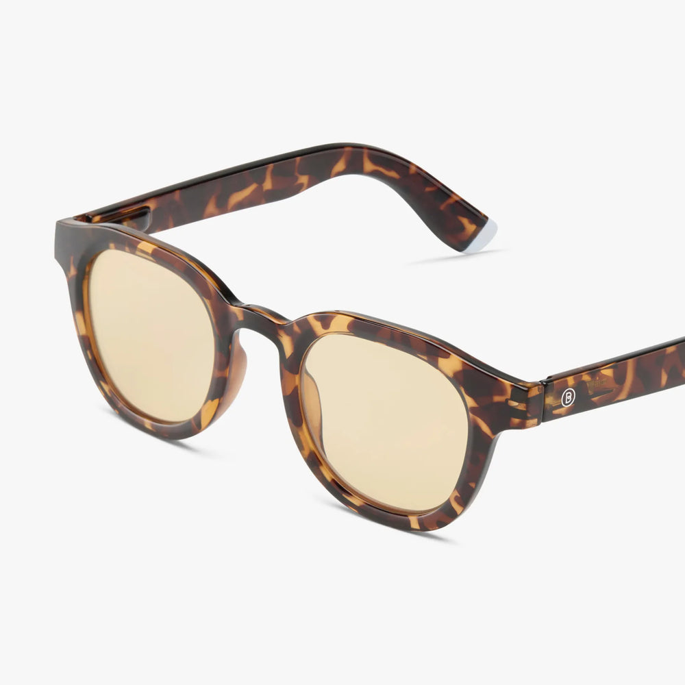 Andy - Colour Sun Tortoise
