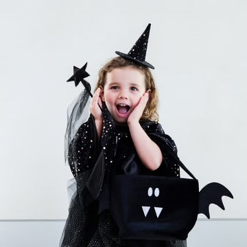 Bat Trick Or Treat Bag
