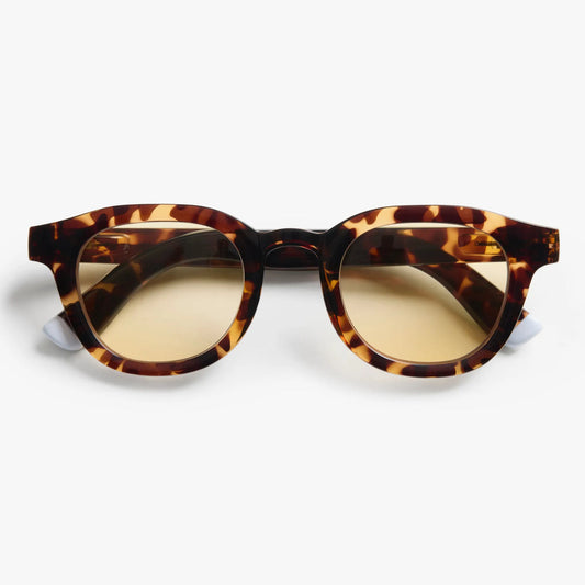 Andy - Colour Sun Tortoise
