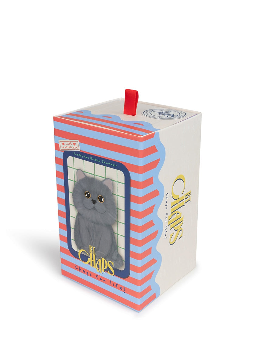 Freddy The British Shorthair