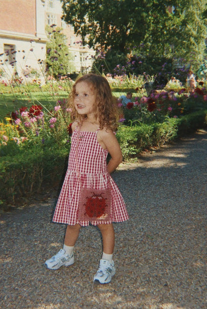 Isotta Raspberry Check Dress