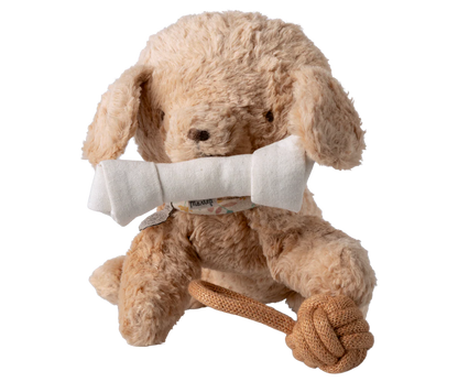 Pet Supplies Dog Treats