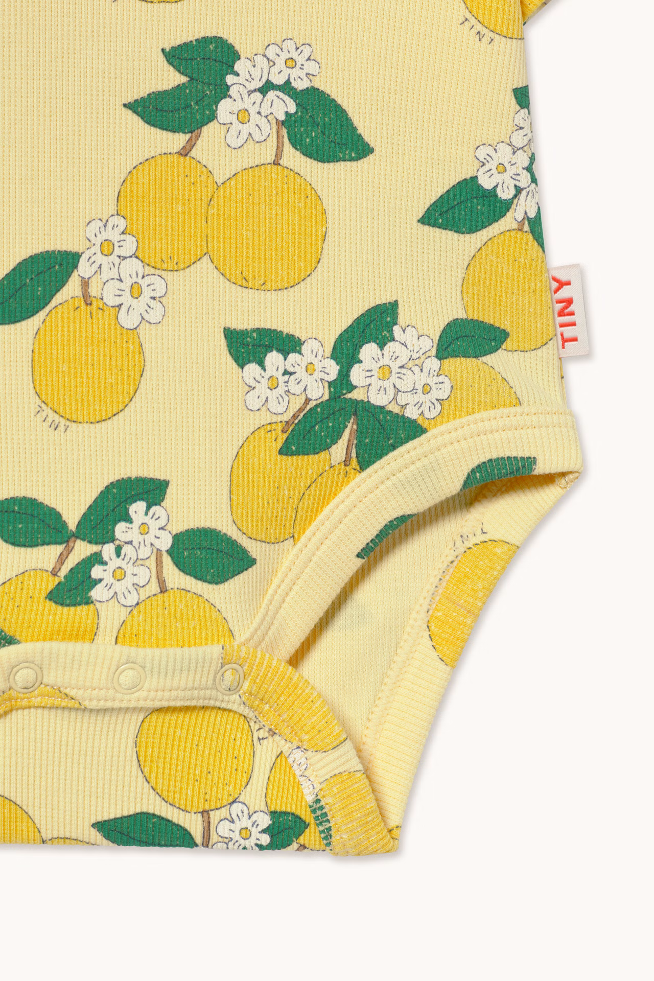 Oranges Rib Body
