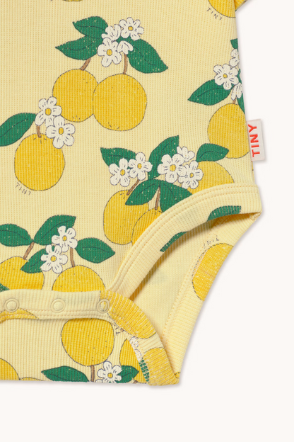 Oranges Rib Body