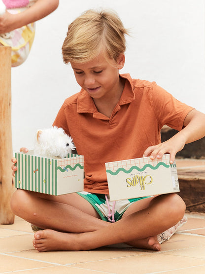 Timothy Scottish Terrier