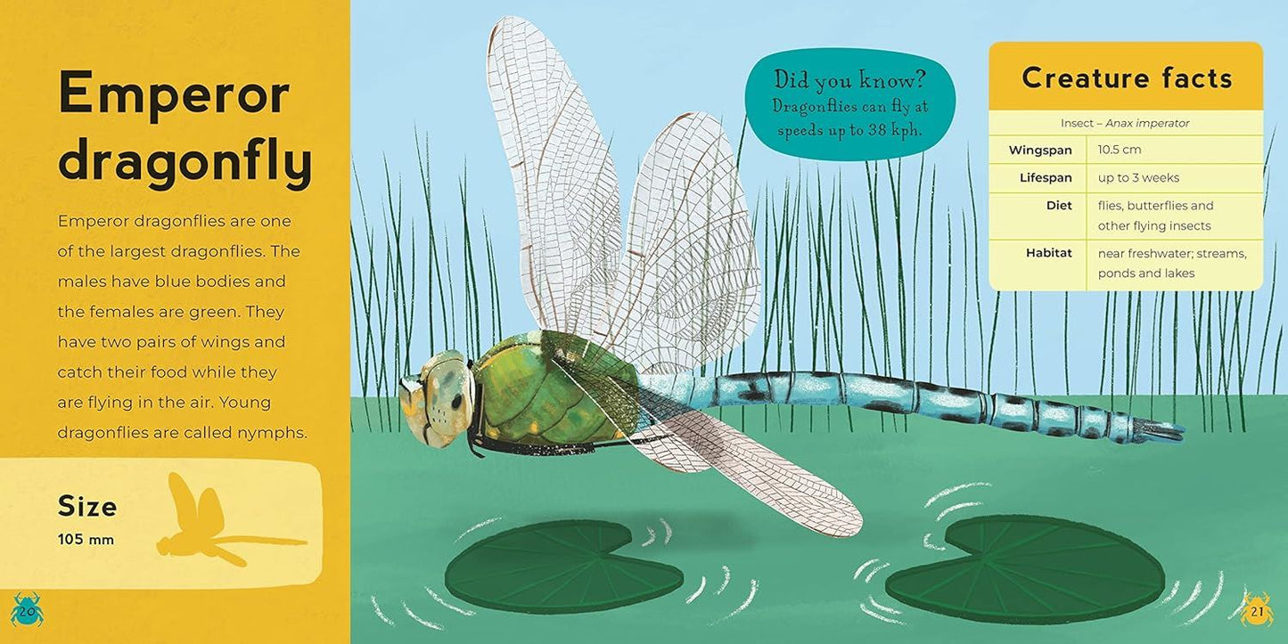 My First Book Of Mini Beasts
