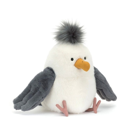 Chip Seagull