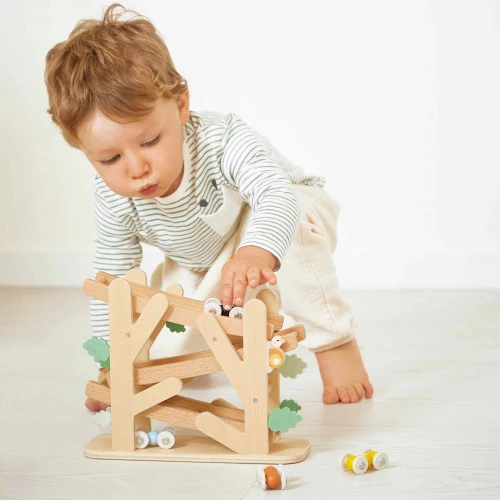 Ant Racing Ramp