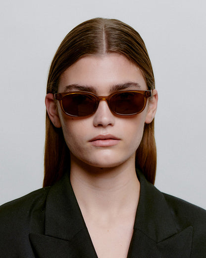 Charlie Sunglasses - Smoke Transparent