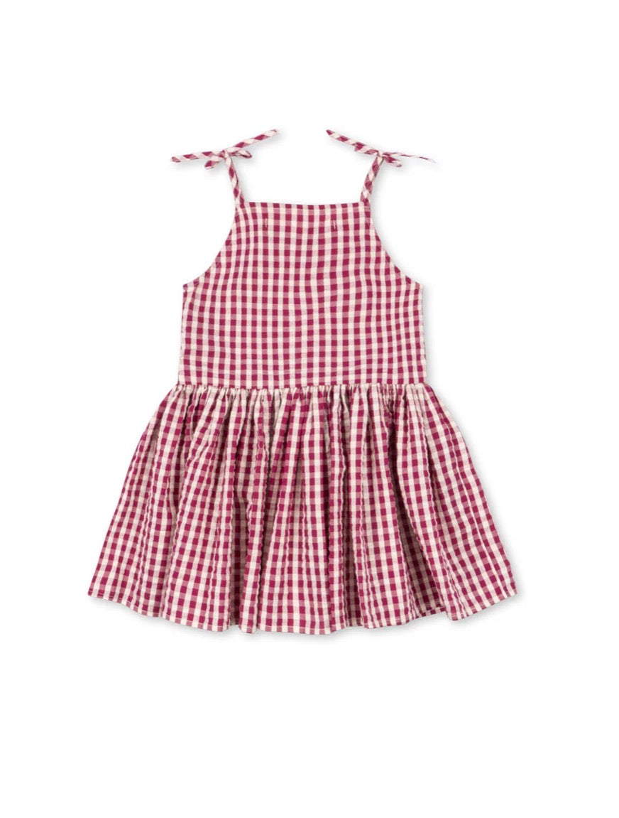 Isotta Raspberry Check Dress