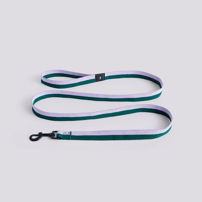 Dog Leash Flat M/L - Lavender/Green