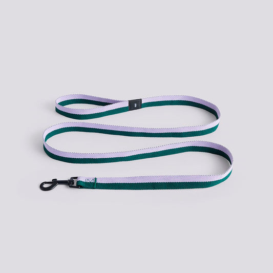 Dog Leash Flat M/L - Lavender/Green