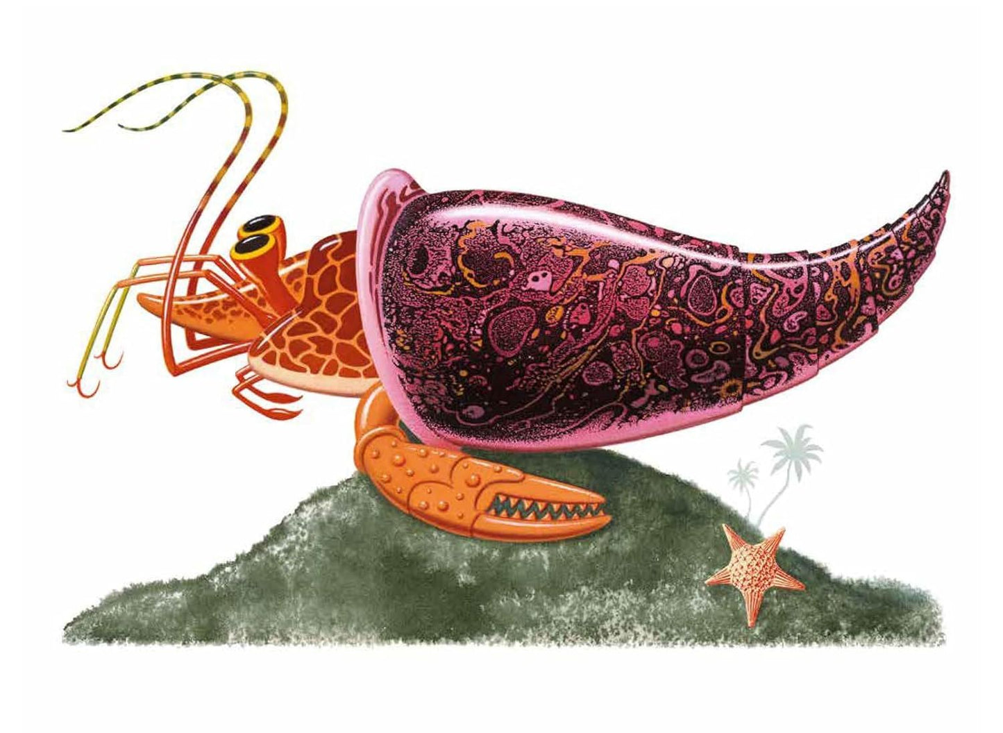 Remarkable Animals: 1000 Amazing Amalgamations