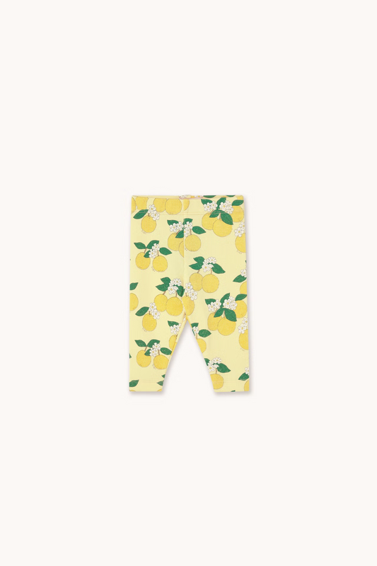 Oranges Rib Leggings