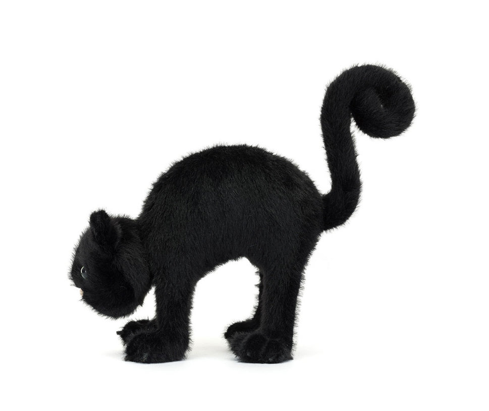 Spookipaws Cat