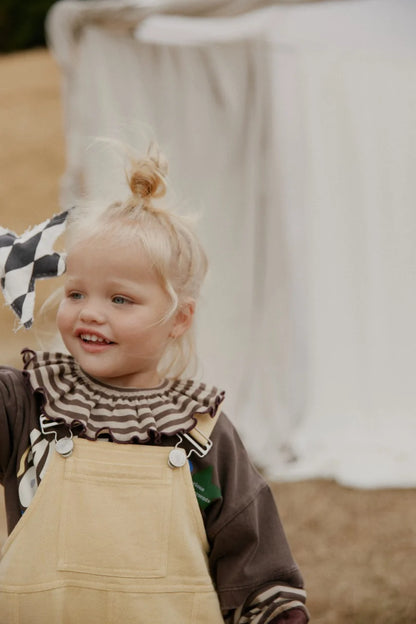 Bobbi Acorn Stripe Collar Bib