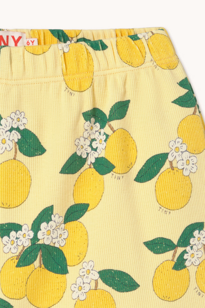 Oranges Rib Short - Mellow Yellow