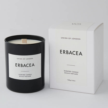 Erbacea