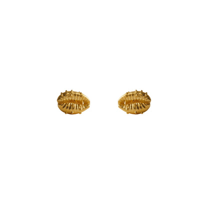 Aphrodite Stud Earrings - Gold