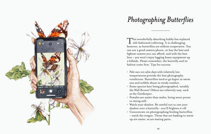 The Butterfly Spotter’s Guide