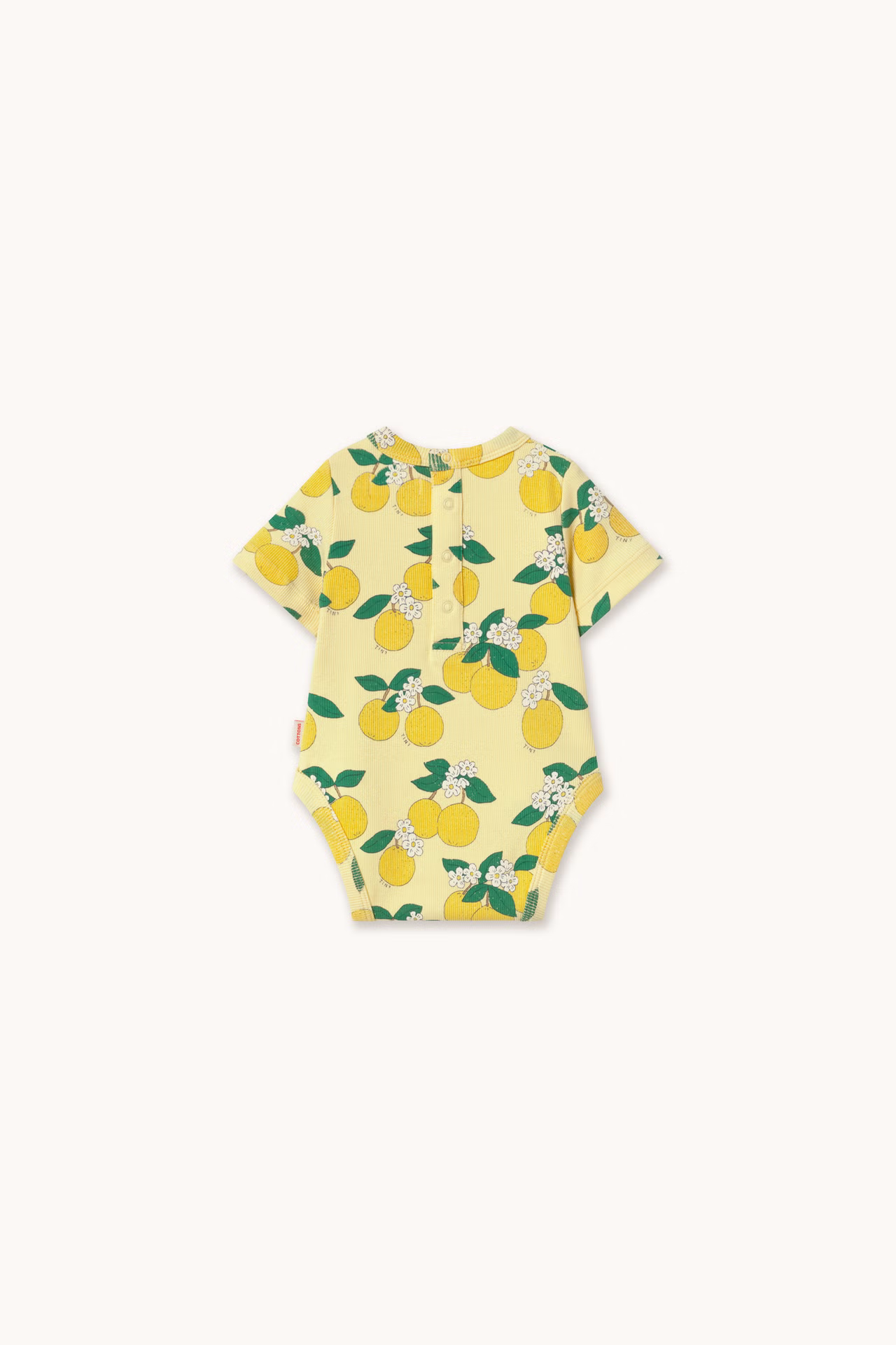 Oranges Rib Body
