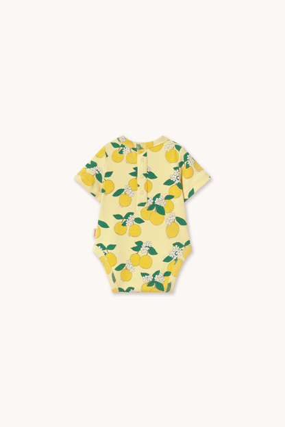 Oranges Rib Body